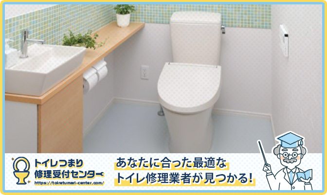 system toilet