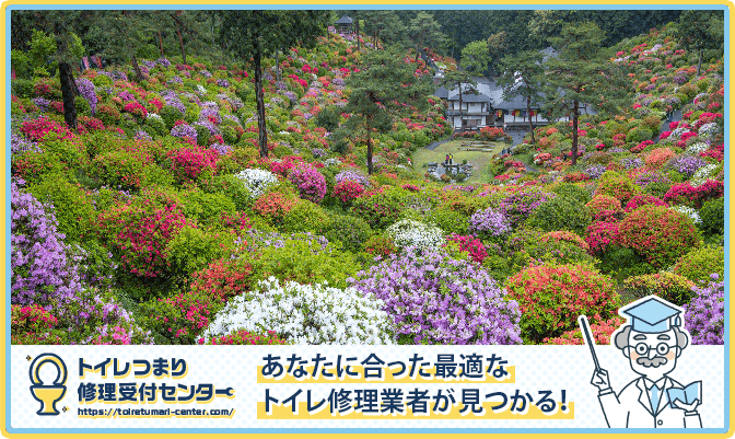青梅市のトイレつまり修理おすすめ5業者｜口コミ高評価の選び方と料金相場