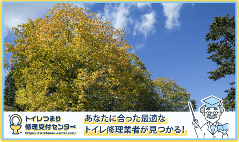 日の出町のトイレつまり修理おすすめ5業者｜口コミ高評価の選び方と料金相場