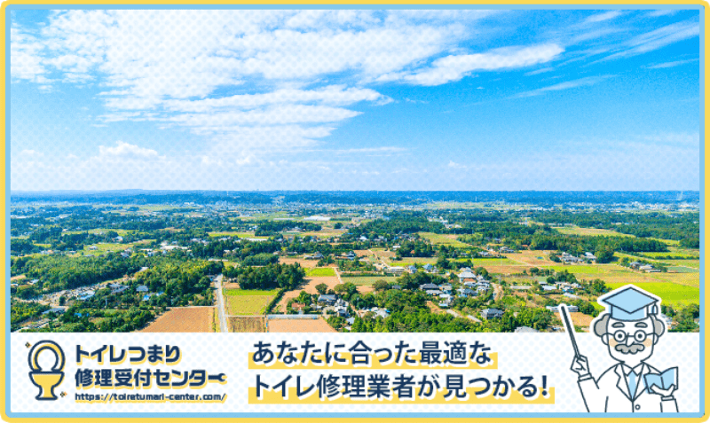 千葉県茂原市のトイレつまり修理おすすめ5業者｜口コミと料金から優良店を厳選！
