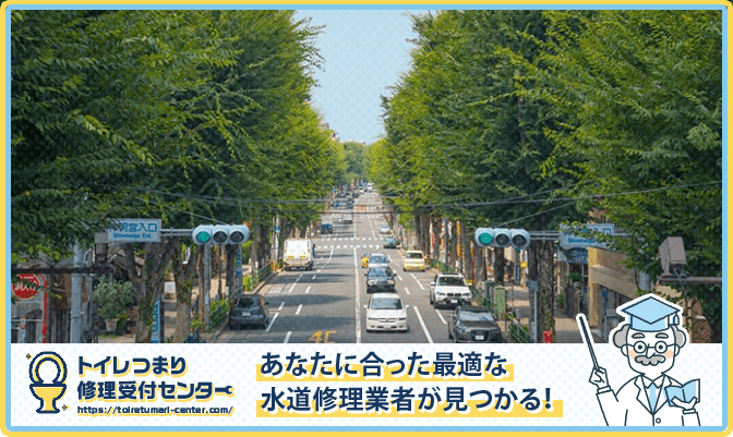 c90b2cd7a8636fe4dd214162ed3d61aa