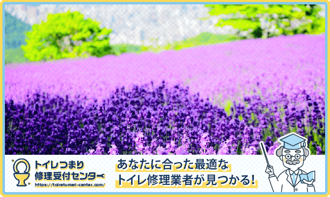 5e90af565f2a669e0bee1c82065c4c10