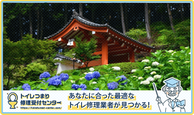 f9810abf389c2e6c9ae38f248dd05a07 1