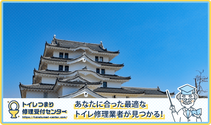 f9810abf389c2e6c9ae38f248dd05a07