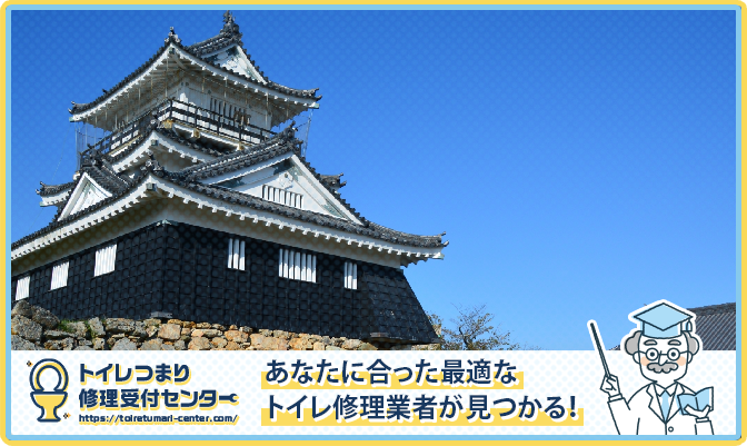 fef0aa72149a54f34a55c01f419fa710