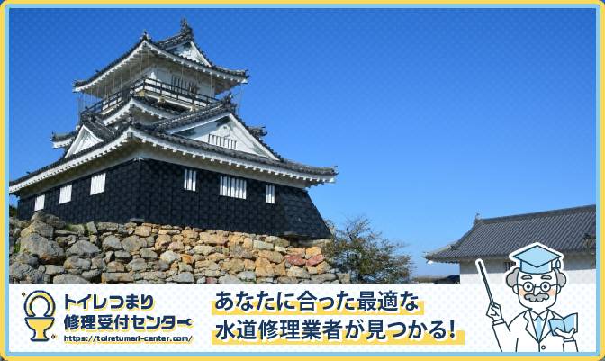 hamamatsu1