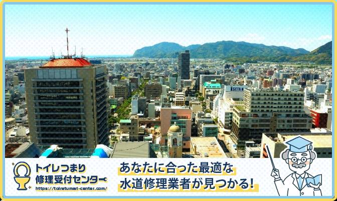 shizuoka1