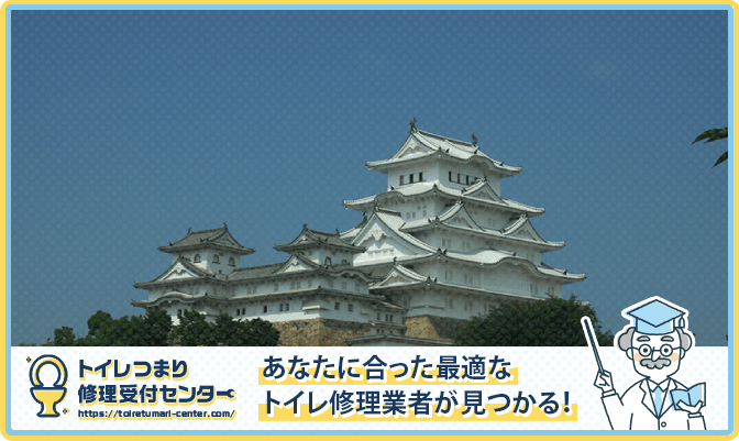 a73cf6a875ceca4fa8ddc18258a973de