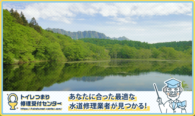 3a12224545f0081891c7167e5d965dad