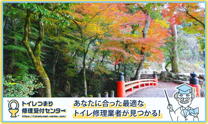 ae55328b627def0c718bf792267ecaaa