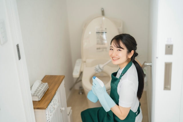 ウォシュレット掃除